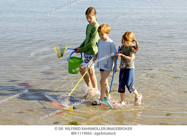 Children walking on the beach, seaside with fishing net and bucket at the Adria, Bibione, Venetia, Venice, Italy, Europe