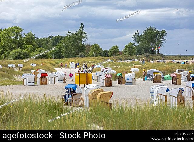 Beach chairs, dunes, beach chairs, Steinwarder peninsula, Heiligenhafen, Schleswig-Holstein, Germany, Europe