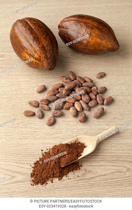 Cacao fruit, cocoa beans and cocoa powder on a wooden spoon