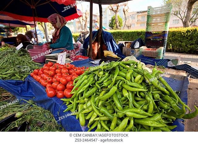 Vendor selling green peppers and tomatoes at the market stall in Selcuk town, Izmir Province, Aegean Coast, Turkey, Europe