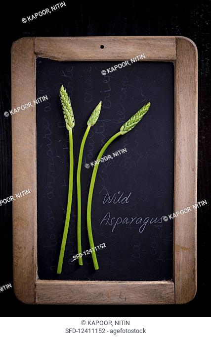 Wild Asparagus on a slate