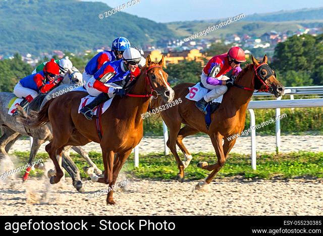 Horse racing in Pyatigorsk, Caucasus, Russia