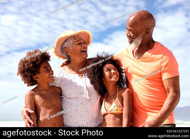 African american grandparents and grandchildren smiling at the beach