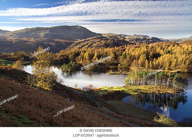 England, Cumbria, Tarn Hows, Autumn over Tarn Hows