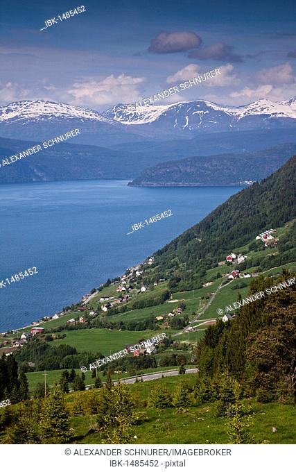 View of the Innvikfjord near Utvik village, Norway, Scandinavia, Europe