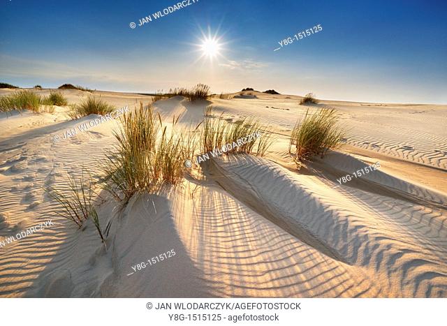 Moving Dunes in Slowinski National Park, Pomerania, Poland, Europe