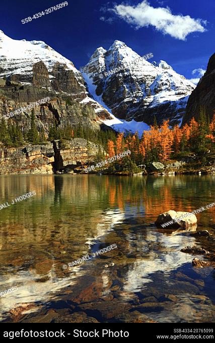 Reflections of Glacier Peak in a Lake Below Lake Oesa in the Lake O'Hara Region of Yoho National Park in British Columbia Canada