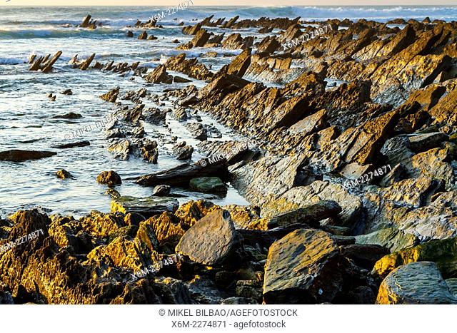 Rocky shore. Meñakoz cove. Barrika, Biscay, Basque Country, Spain, Europe