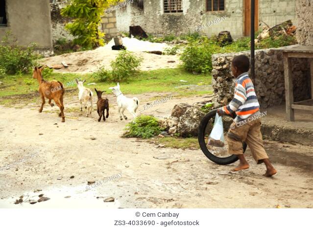 Child running after the goats in Jambiani village, Zanzibar Island, Tanzania, East Africa