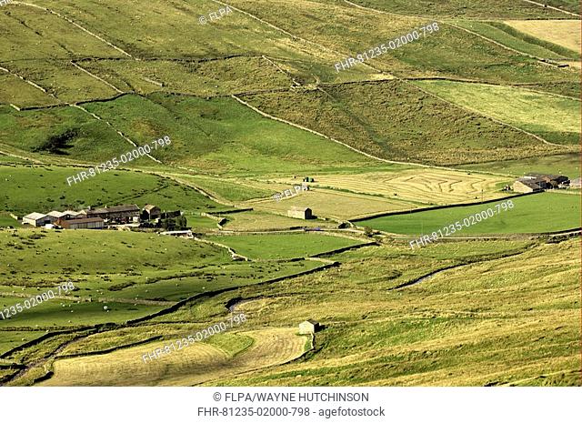 View of hill farm with drystone walls, rough pasture and meadows, Dureley Bottom Farm, near Hawes, Yorkshire Dales, North Yorkshire, England