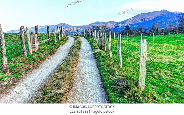 Rural landscape near Nava village, Asturias, Spain