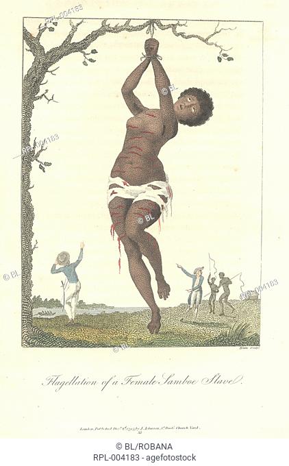 Flagellation of a female slave hanging by her wrists from a tree. Full title of image is, Flagellation of a female Samboe slave