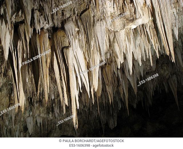 Stalactites of The Chandelier, Big Room, Carlsbad Caverns National Park, New Mexico, USA