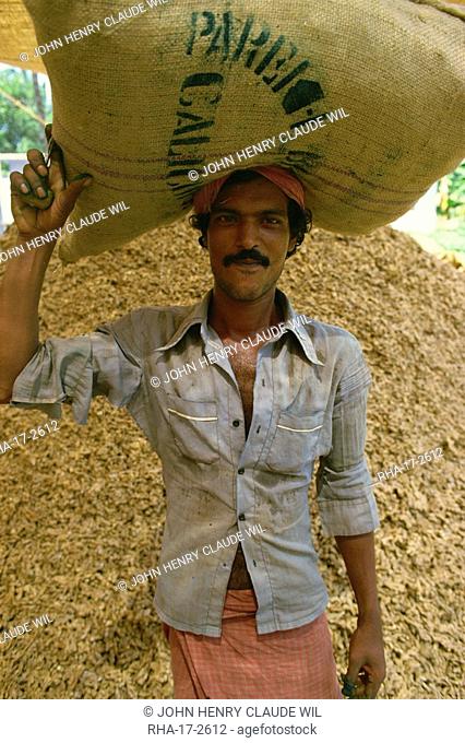 Labourer carries sack of stem ginger, Cochin, Kerala state, India, Asia