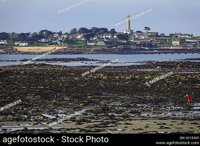 View at low tide from Roscoff to the island Ile de Batz with lighthouse, department Finistere Penn ar Bed, region Bretagne Breizh, France, Europe