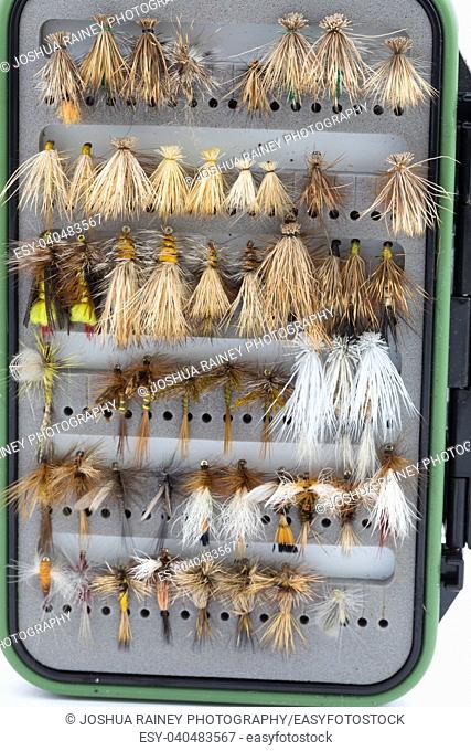 Dry flies in a fly box or case ready for fly fishing shot on a white isolated background in studio