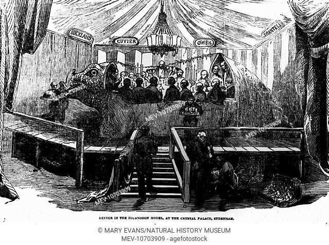 An engraving of a dinner being held at the Crystal Palace inside the first full sized model of an Iguanodon made by Waterhouse Hawkins in 1853