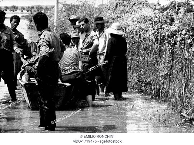 Homeless people during the Polesine flood. Homeless people barefoot in the water. The Po river overflowed because of the heavy rains and a catastrophical flood...