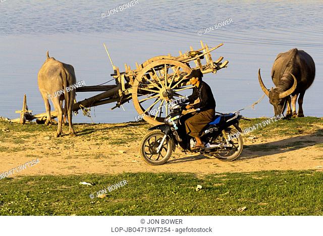 Myanmar, Mandalay, Lake Taungthaman. Old and new with bullock cart and motor bike by the shore of Taungthaman Lake in Myanmar