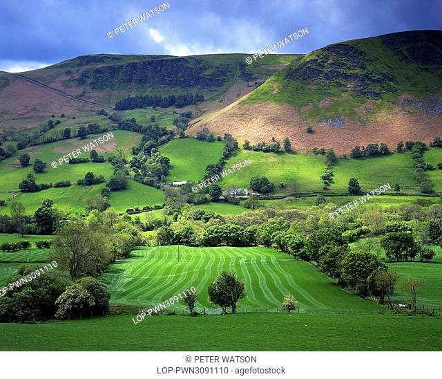 Wales, Powys, Near Llangynog. Looking across a lush fertile valley on a summer's day in Mid Wales