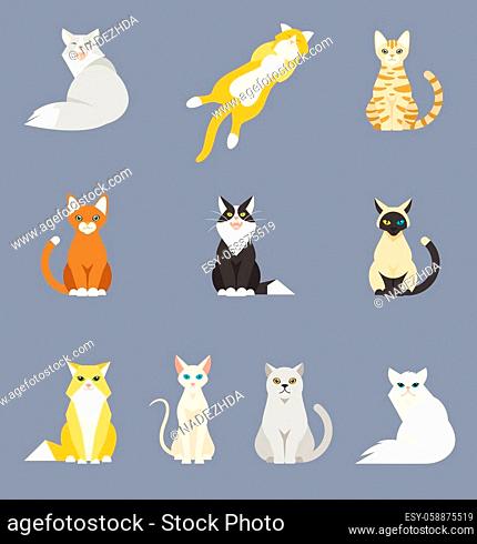 Different cartoon cats set. Simple modern geometric flat style vector illustration. A set of animals with different colors of wool, white, gray, orange, brown
