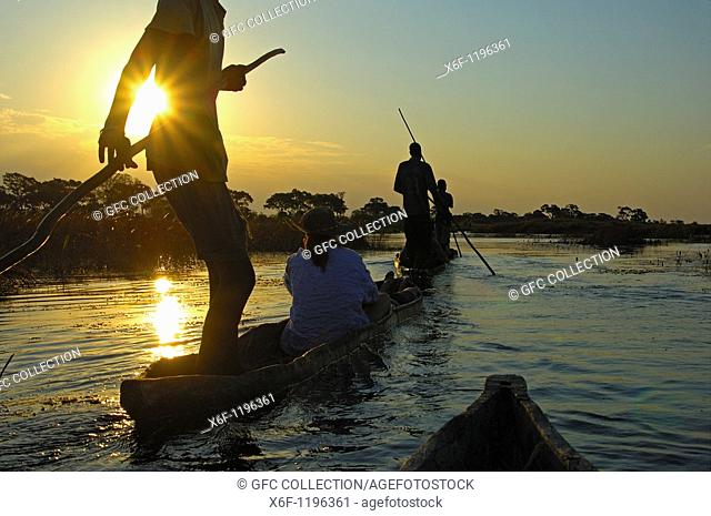 Boatmen with tourists in mokoro logboats on a sunset excursion in the Okavango Delta, Botswana