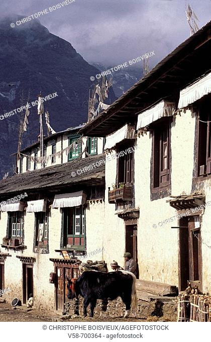 Namche bazar  Mount Everest region  Khumbu  Nepal
