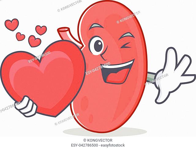 Cartoon kidney Stock Photos and Images | agefotostock