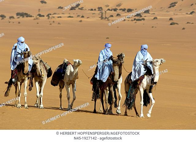 Tuaregs riding Camels; Tuareg Caravan; Libyan Arab Jamahiriya; Libyan Desert