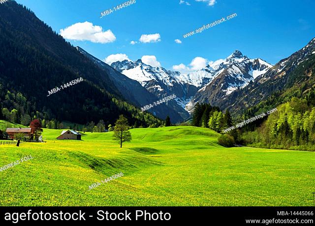 Idyllic mountain landscape in the Trettach valley near Oberstdorf on a sunny day in spring. Green meadows, forests and snow-capped mountains under blue sky