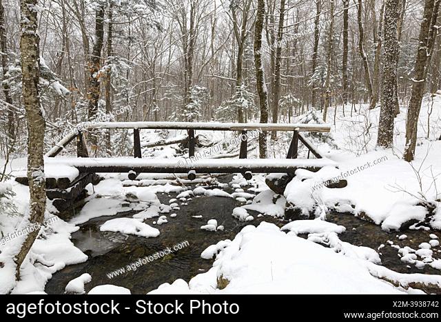 Foot bridge along Beaver Brook Trail in Kinsman Notch in the White Mountains, New Hampshire covered in snow. The Beaver Brook Trail is a segment of the...