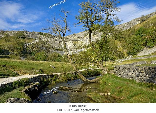 England, North Yorkshire, Malhamdale. Footpath alongside Malham Beck with Malham Cove, a spectacular curved limestone formation in the Yorkshire Dales National...