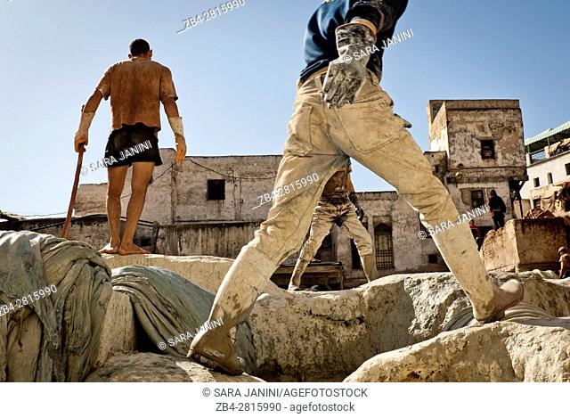 Workers at the Chouwara Tannery, Fez or Fes, Morocco, North Africa