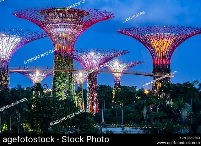 Night view of Gardens by the Bay. Singapore