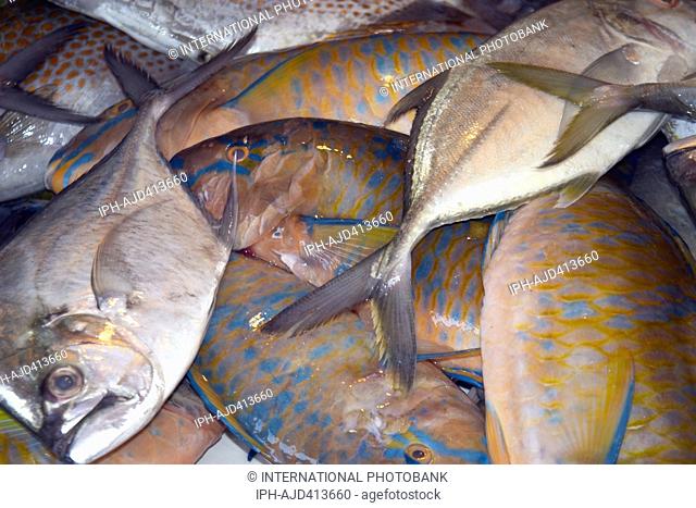 Philippines Cebu Mactan Island Mactan City Fresh fish for sale Adrian Baker