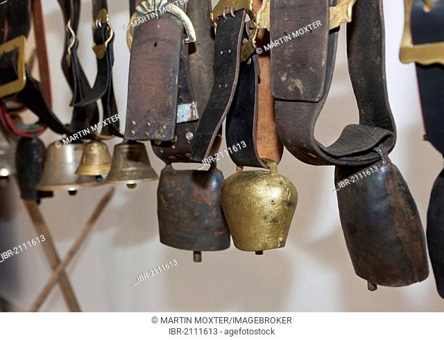 Historic cow bells on leather straps, Pfronten, Ostallgaeu, Allgaeu, Bavaria, Germany, Europe