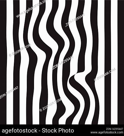 Striped abstract background. black and white zebra print. illustration