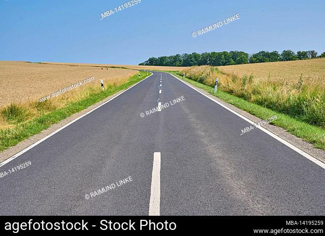 Country road, field, summer, Birkenfeld, Main-Spessart, Bavaria, Germany