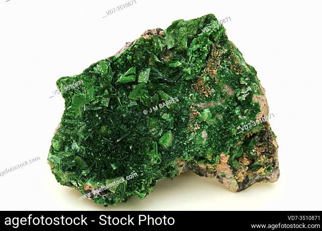 Torbernite is a radioactive copper uranyl phophate mineral. Crystallized sample