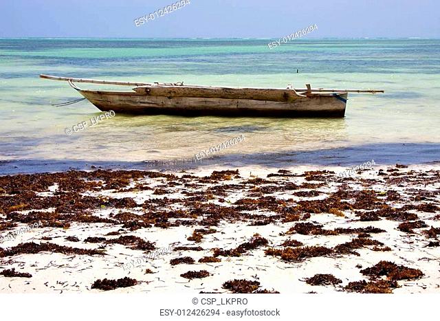 relax of zanzibar coastline boat pirague in the blue lagoon