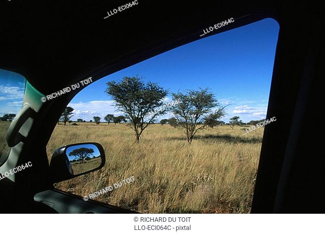 A View of the Bush Through an Open Car Window  Vaalbos National Park, Northern Cape Province, South Africa
