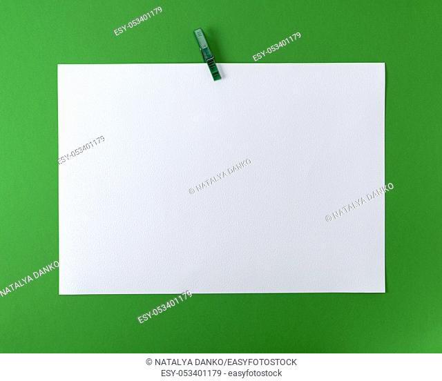white blank drawing sheet on green plastic clothespin, green background