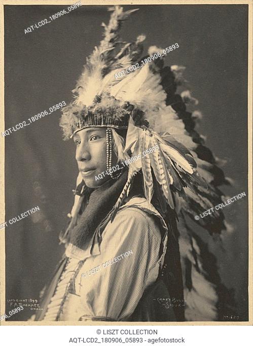 Crazy Bull, Sioux; Adolph F. Muhr (American, died 1913), Frank A. Rinehart (American, 1861 - 1928); 1899; Platinum print; 23.6 x 18