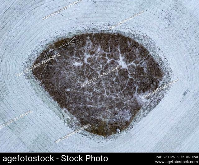 25 November 2023, Brandenburg, Treplin: Like paths on a map, animal tracks branch out through the reeds in a wetland in the middle of a field (aerial photo...