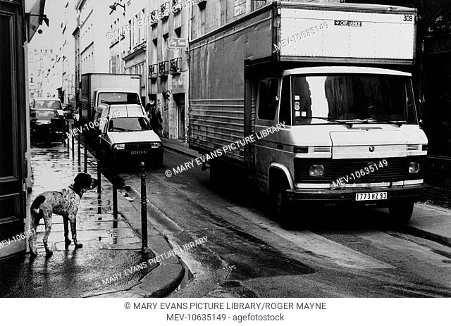 A street scene in Paris, France, on a rainy day. The narrow street is full of cars and vans, and a dog stands on the pavement