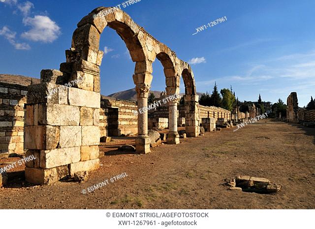 antique Umayyad ruins at the archeological site of Anjar, Unesco World Heritage Site, Bekaa Valley, Lebanon, Middle East, West Asia