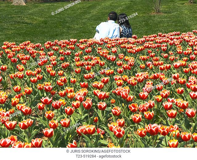 Two young people on tulip field