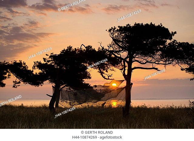Urehoved, Denmark, island, isle, Aero, coast, sea, trees, land tongue, morning mood, sunrise, fishing net