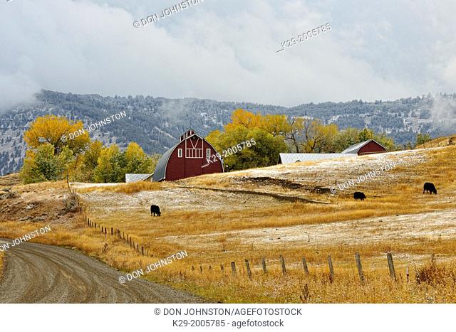 A dusting of early snow on ranchland along the Brackett Creek Road, Bozeman, Montana, USA