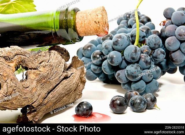 red wine and freshly picked grapes on white background